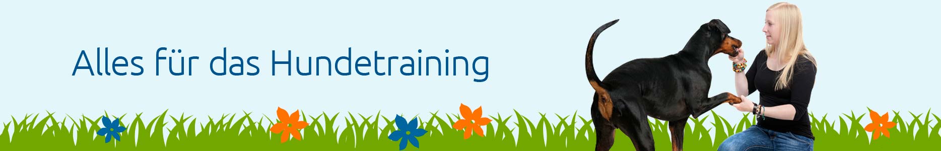 Training Training