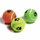 Tennisball mit Squeaker
