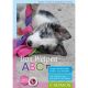 Buch 