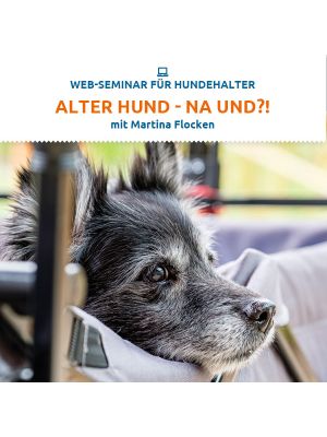 Alter Hund - na und?!