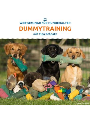 Grundlagen des Dummytrainings
