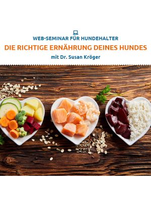 Die richtige Ernährung deines Hundes
