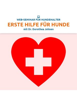 Erste Hilfe beim Hund