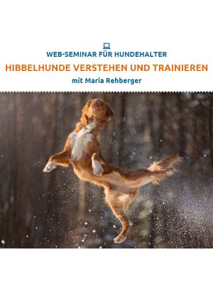 Web-Seminar 