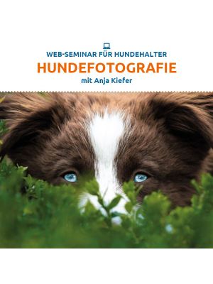 Einsteigertipps für die Outdoor Hundefotografie