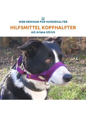 Hilfsmittel Kopfhalfter 