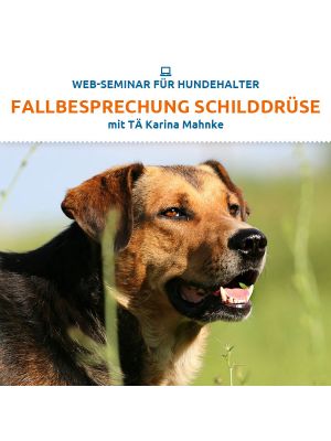 Fallbesprechung Schilddrüse
