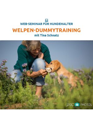 Welpen-Dummytraining
