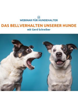 Das Bellverhalten unserer Hunde