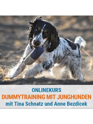Dummytraining für Junghunde