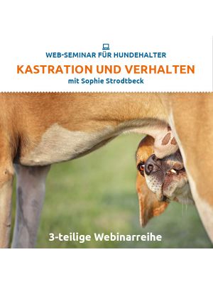 Web-Seminar "Kastration und Verhalten" - 3 -tlg