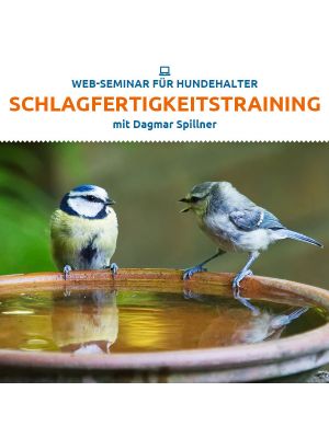 Web-Seminar "Schlagfertig mit 2 Strategien" 