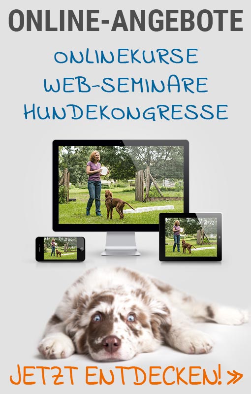 Online-Angebote