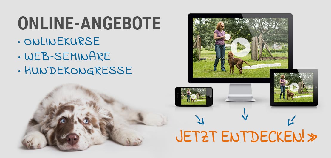 Online-Angebote